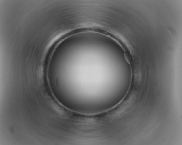 X0000114400975200910161312