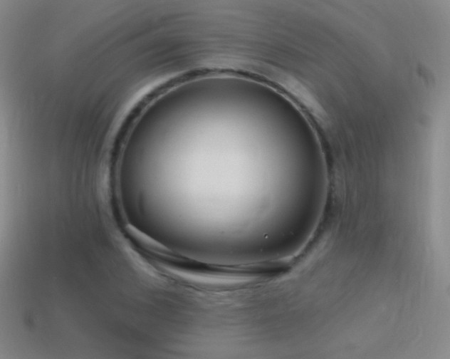 X0000114400976200910161312