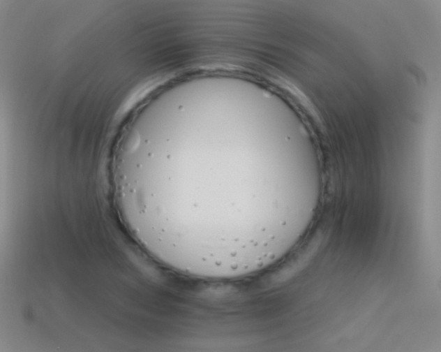 X0000114400978200910161311