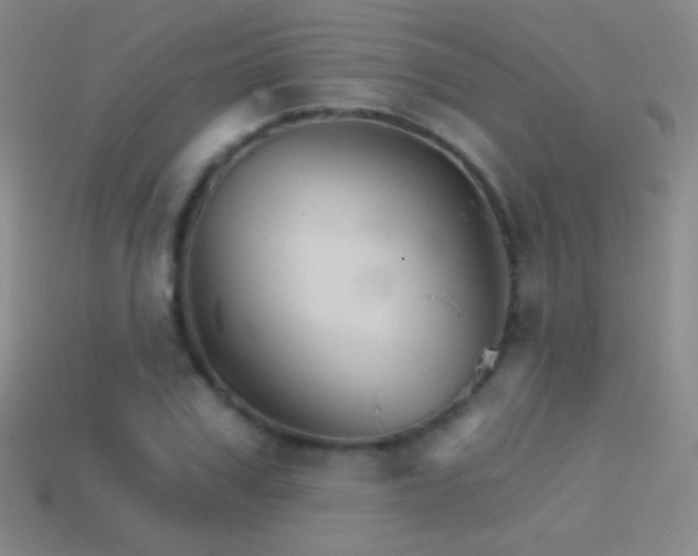 X0000114400979200910161311