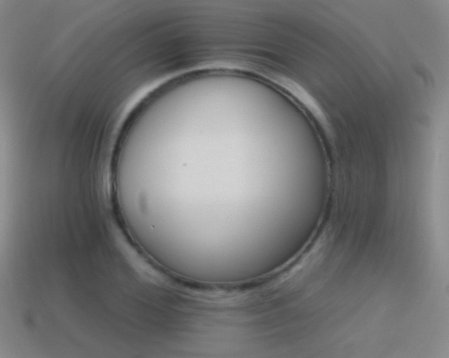 X0000114400980200910161311