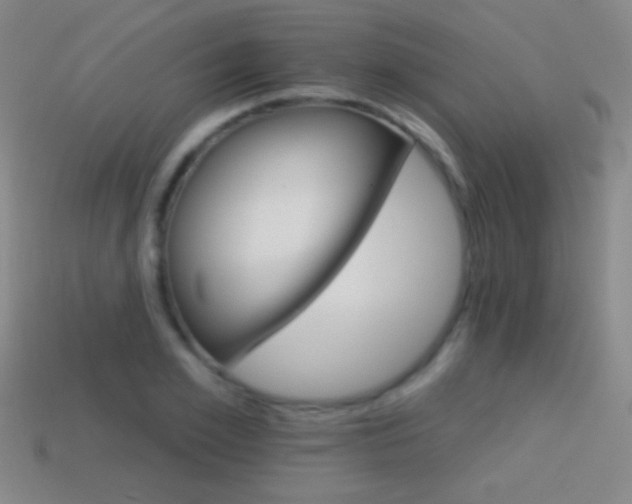 X0000114400981200910161311