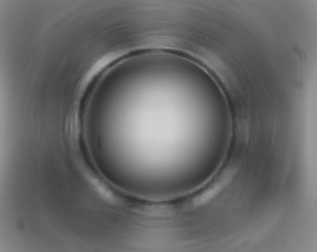 X0000114400982200910161311