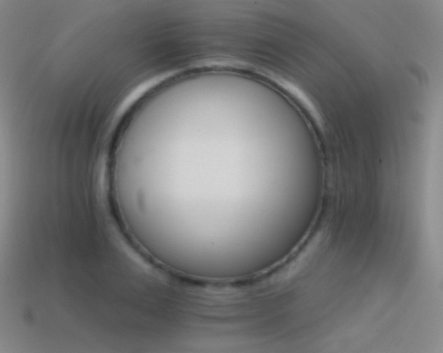 X0000114400983200910161311