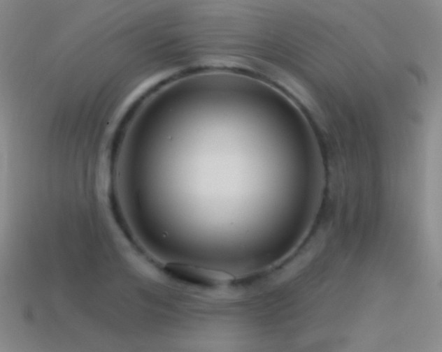 X0000114400984200910161311