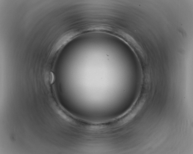 X0000114400985200910161311