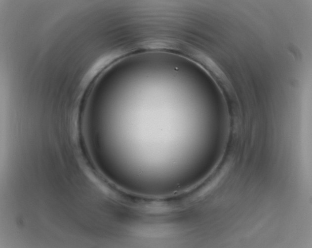 X0000114400986200910161311