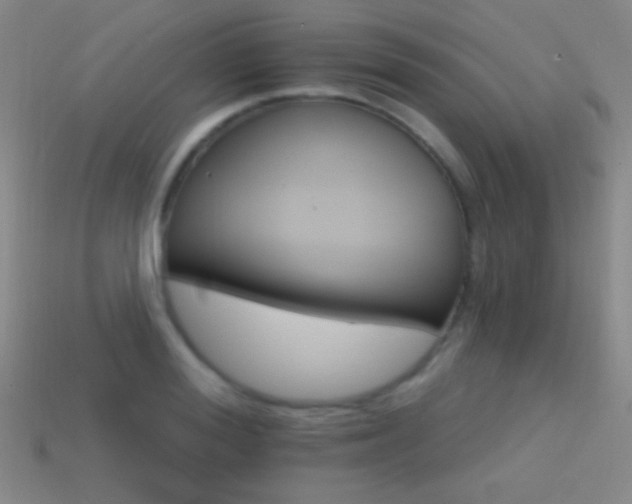 X0000114400988200910161311