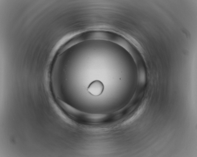 X0000114400989200910161311