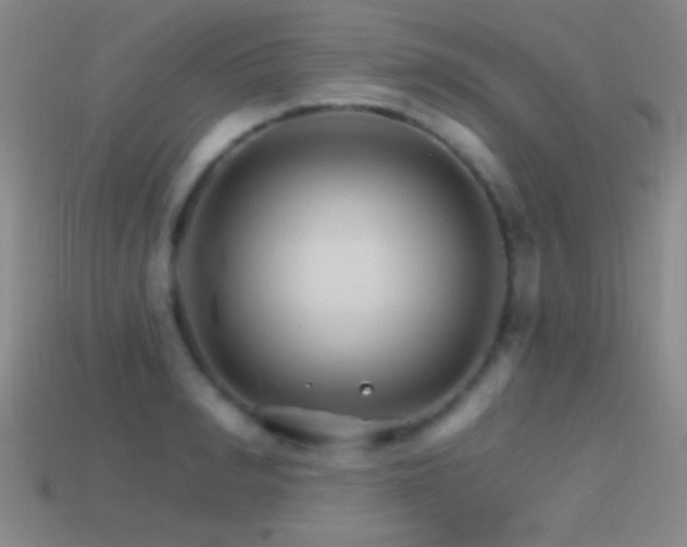 X0000114400990200910161311