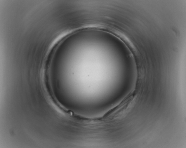 X0000114400991200910161311