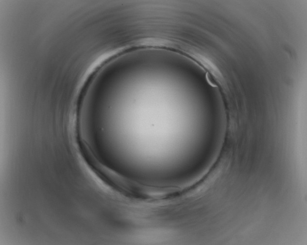 X0000114400992200910161311