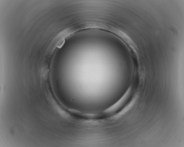 X0000114400993200910161311