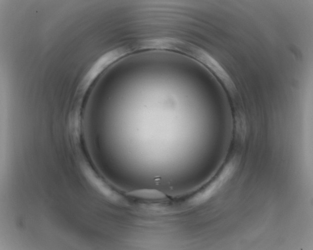 X0000114400994200910161311