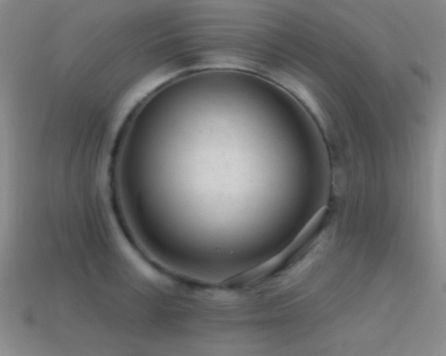 X0000114400995200910161311