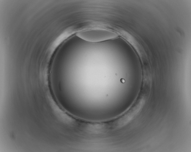 X0000114400997200910161311