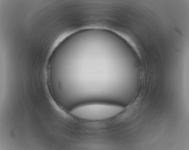 X0000114400998200910161311