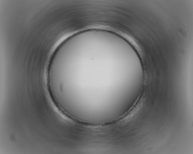 X0000114400999200910161311