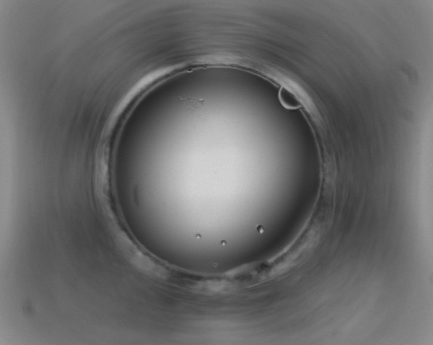 X0000114401000200910161311