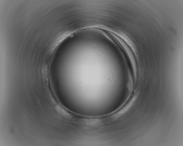 X0000114401001200910161311