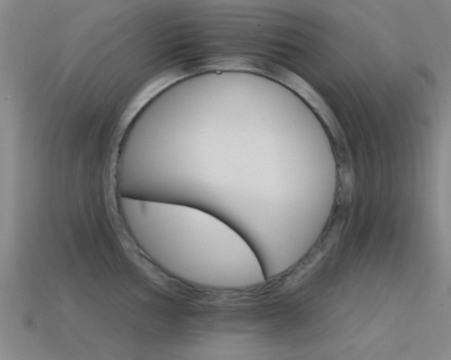 X0000114401002200910161311