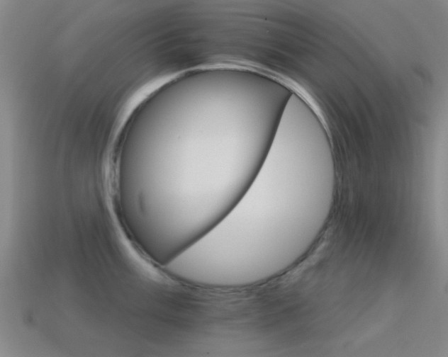 X0000114401003200910161311