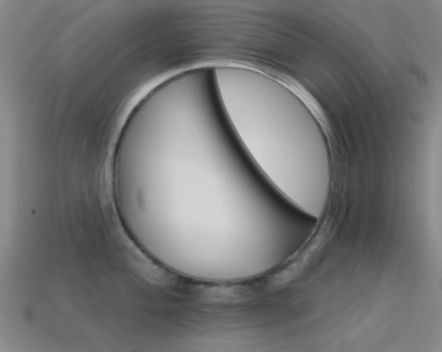 X0000114401004200910161311