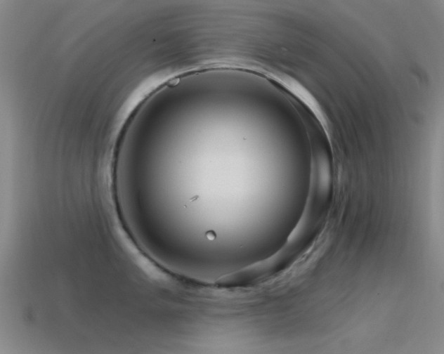 X0000114401005200910161311