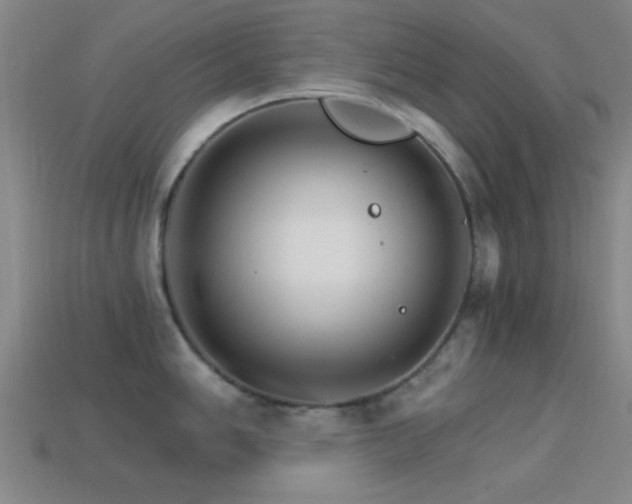 X0000114401006200910161311