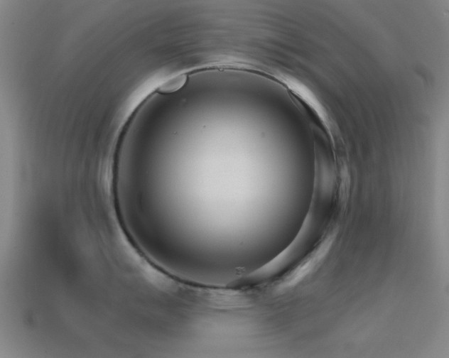 X0000114401007200910161311