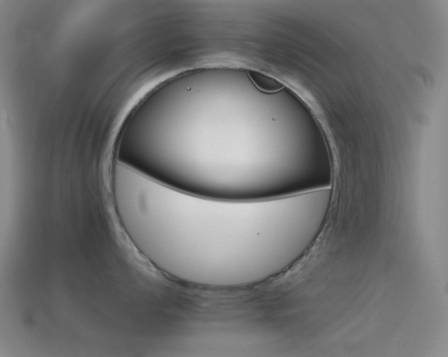 X0000114401008200910161311