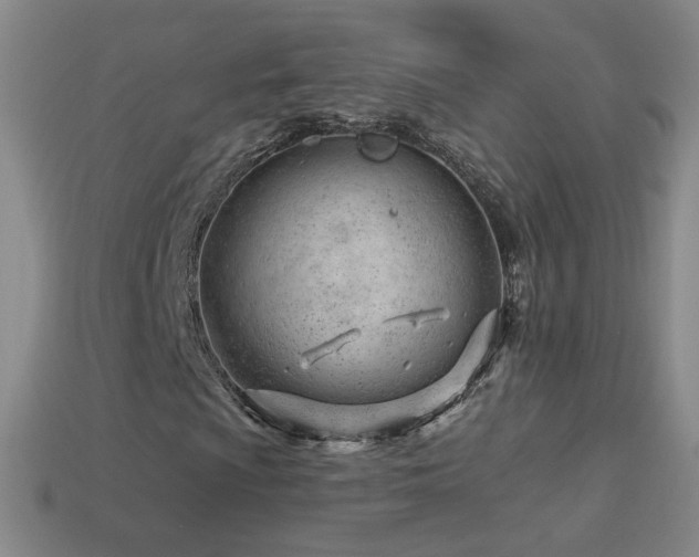 X0000114401009200910161310