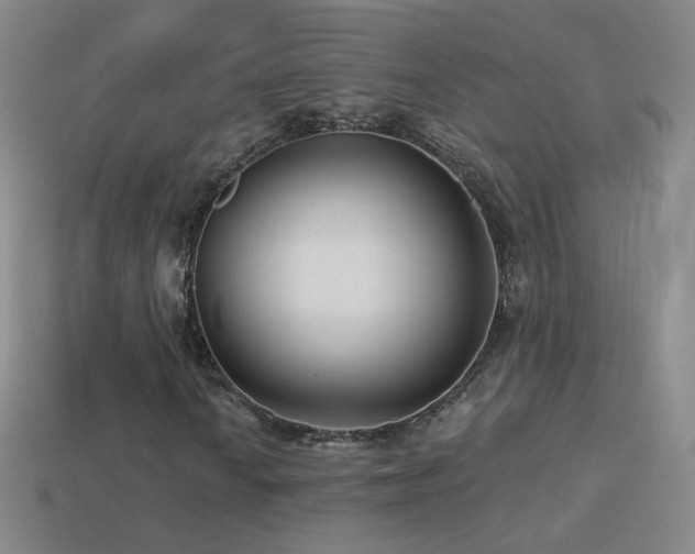 X0000114401010200910161310