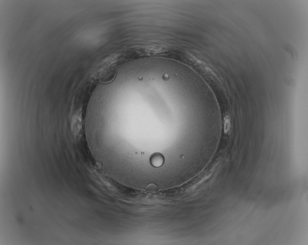 X0000114401011200910161310