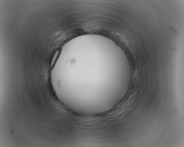 X0000114401012200910161310