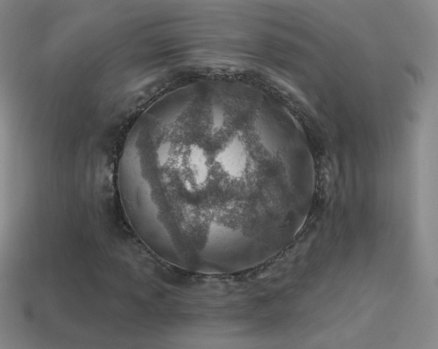 X0000114401013200910161310