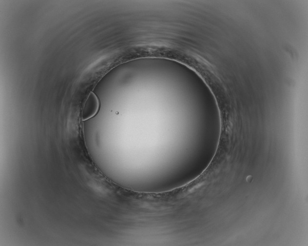 X0000114401014200910161310