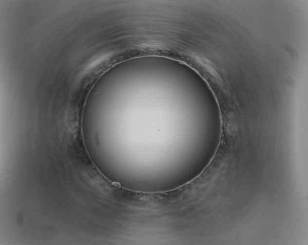 X0000114401015200910161310