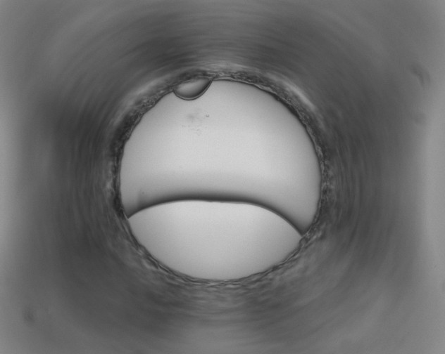 X0000114401016200910161310