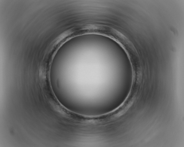 X0000114401017200910161310