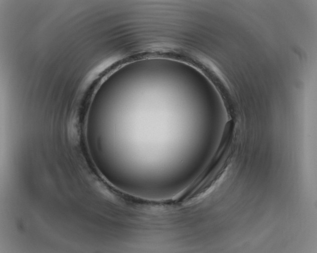 X0000114401018200910161310