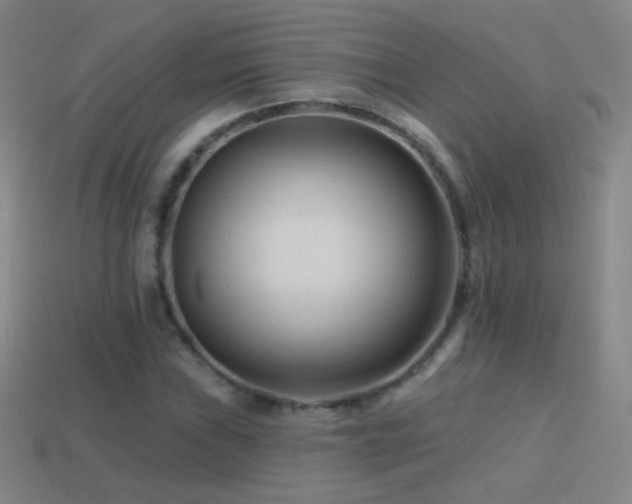 X0000114401019200910161310