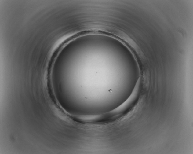 X0000114401020200910161310