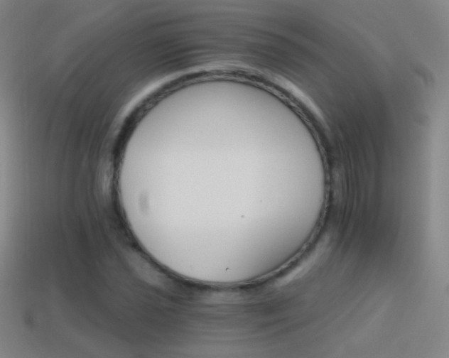 X0000114401021200910161310