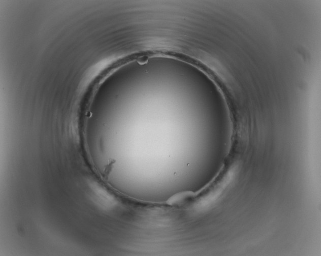 X0000114401022200910161310