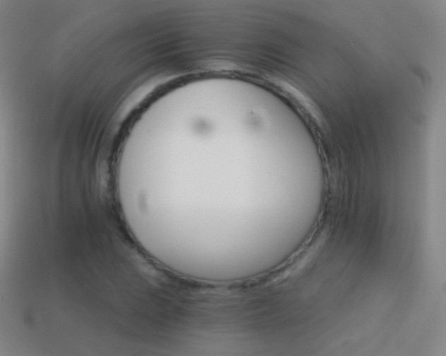 X0000114401023200910161310