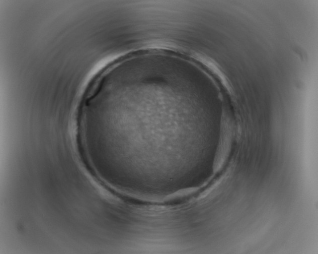 X0000114401024200910161311