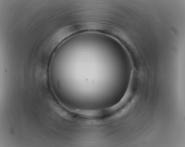 X0000114401025200910161311