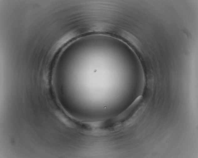 X0000114401026200910161311