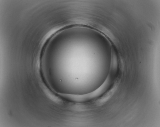 X0000114401028200910161311